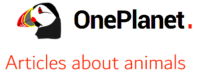 OnePlanet Environmental English logo